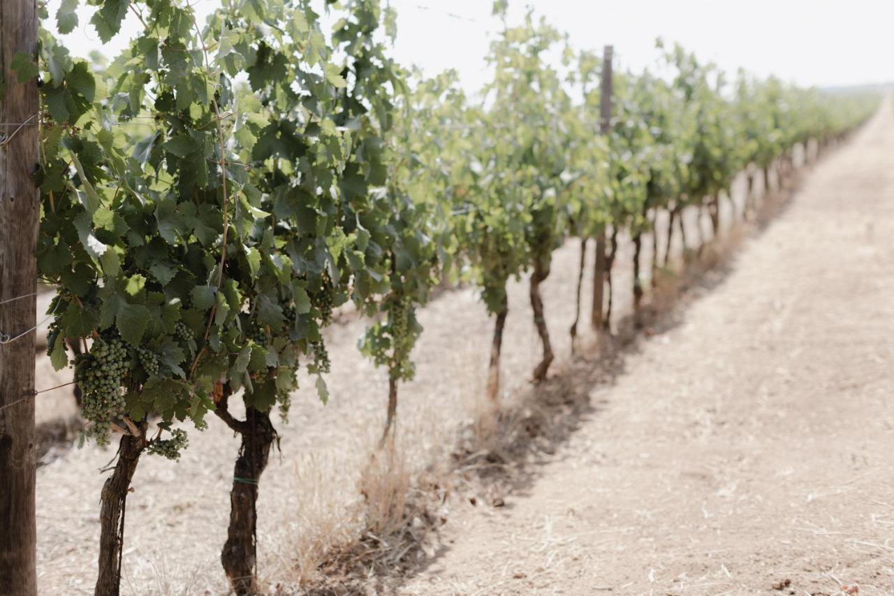 Masseria Cuturi Manduria